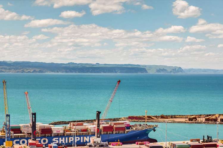 128B Thompson Road Bluff Hill_15