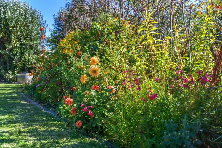 63 Waipunahau Road Waikanae_10