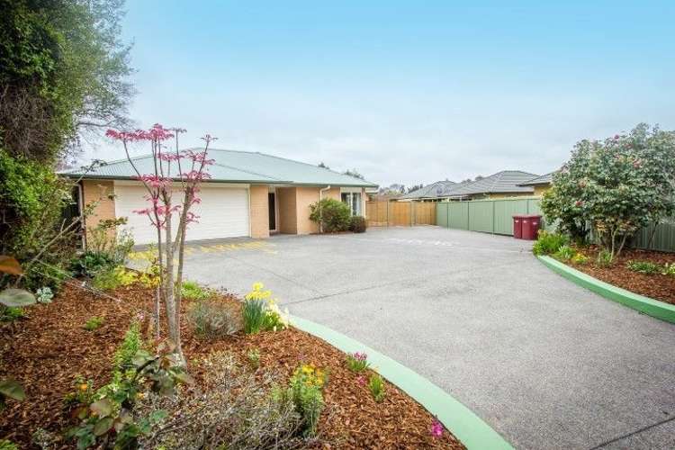 162 Chapel Street Masterton_2