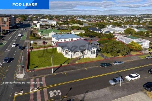 High profile corner Villa Dominion Rd