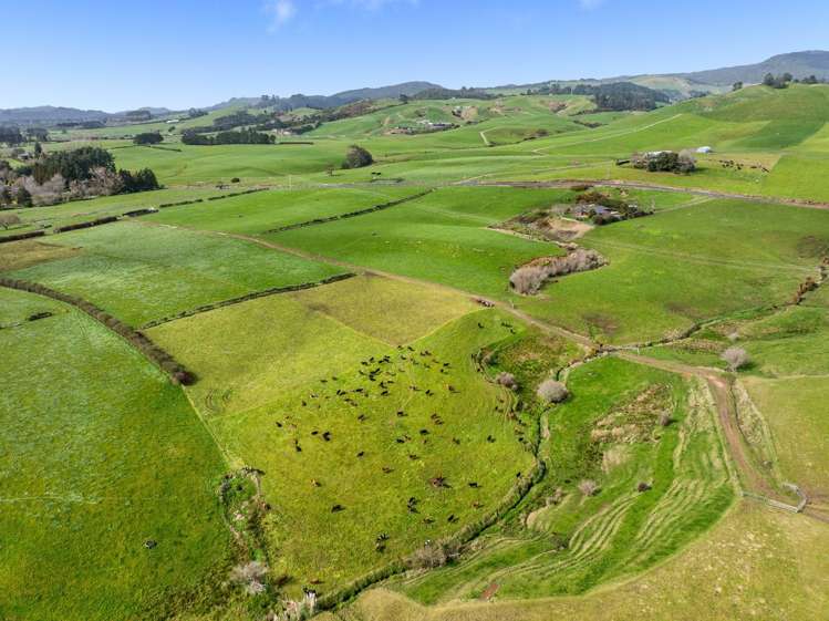 411 Pukekauri Road Waihi_11