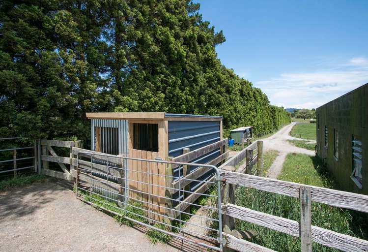 305 Waihi Beach Road Waihi_18