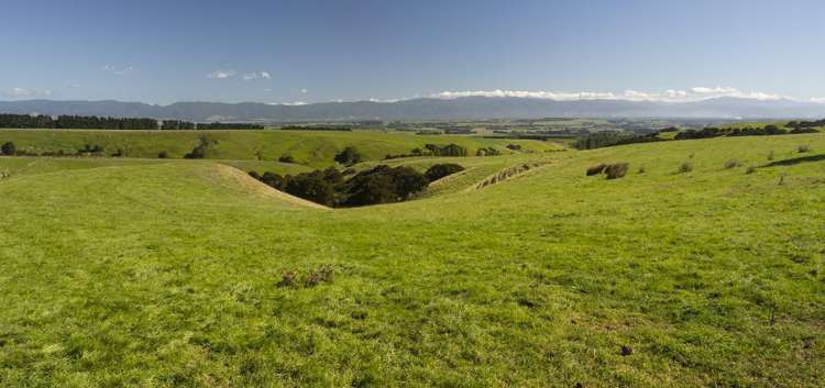 453 Dry River Road Martinborough_11