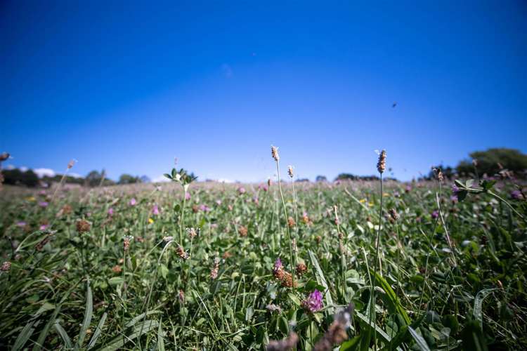 127 Redwood Valley Road Redwood Valley_40