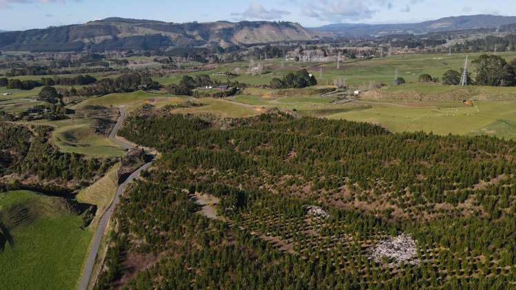 414C Dalbeth Road Hamurana_11