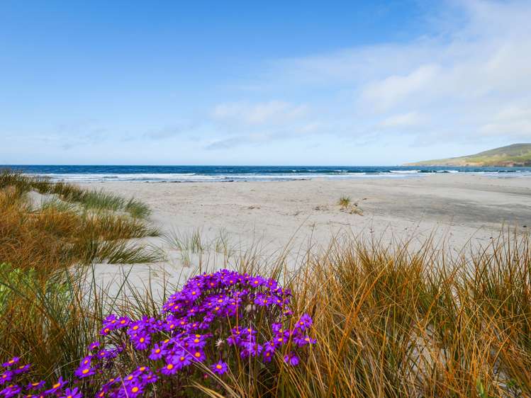 36 Beach Road Long Beach_26