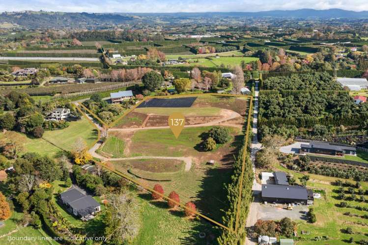 137 Lochhead Road Te Puna_7