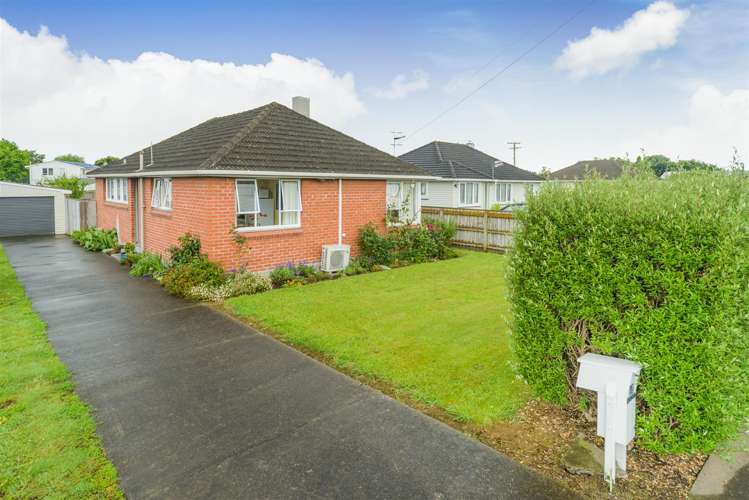 27 Holland Crescent Bulls_34