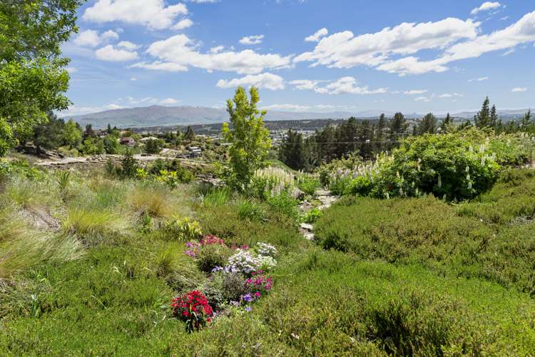 51 The Half Mile Alexandra_15