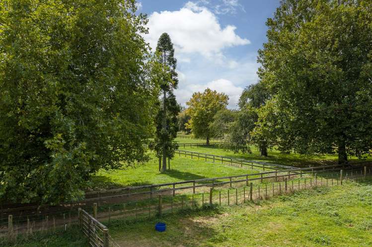 59 Fuchsia Lane Tamahere_22