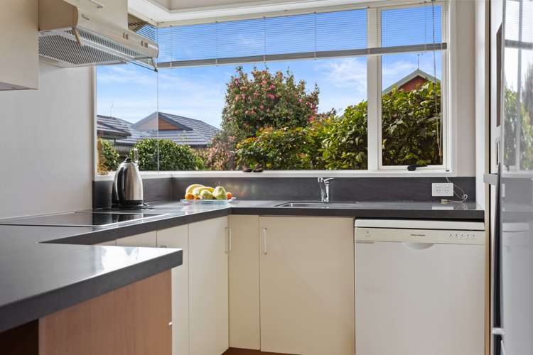 14a Grassmere Street Papanui_7