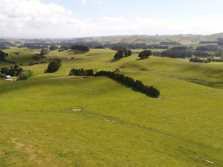 127 North Road Eketahuna_7