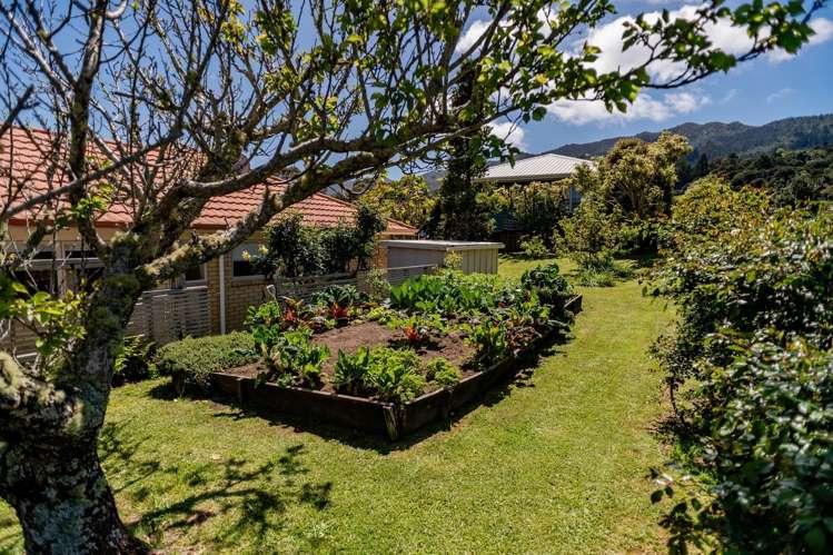 20 Kauri Grove_4