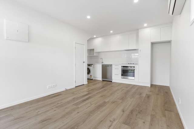 22a Graham Avenue Te Atatu Peninsula_1