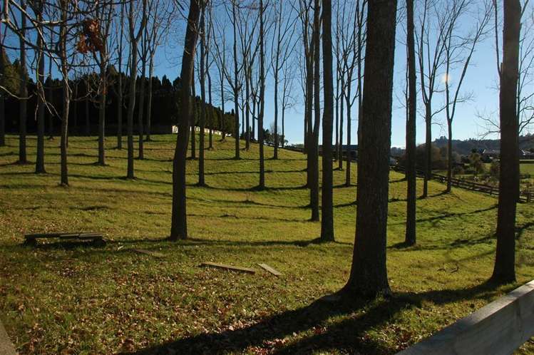 102e Maungakawa Road Cambridge_2