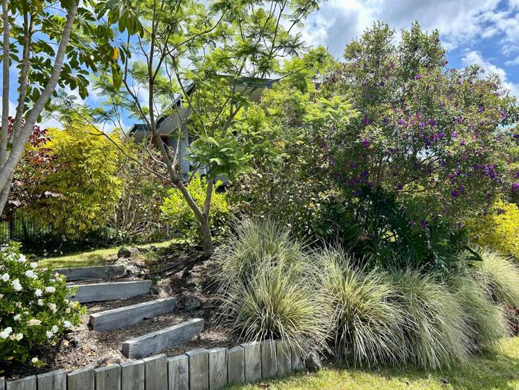 33 Hihitahi Rise Paihia_19