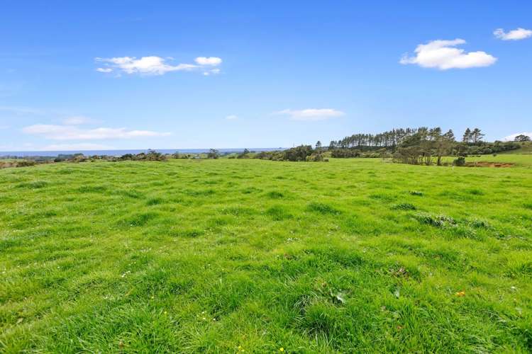 655 Plymouth Road Koru_5