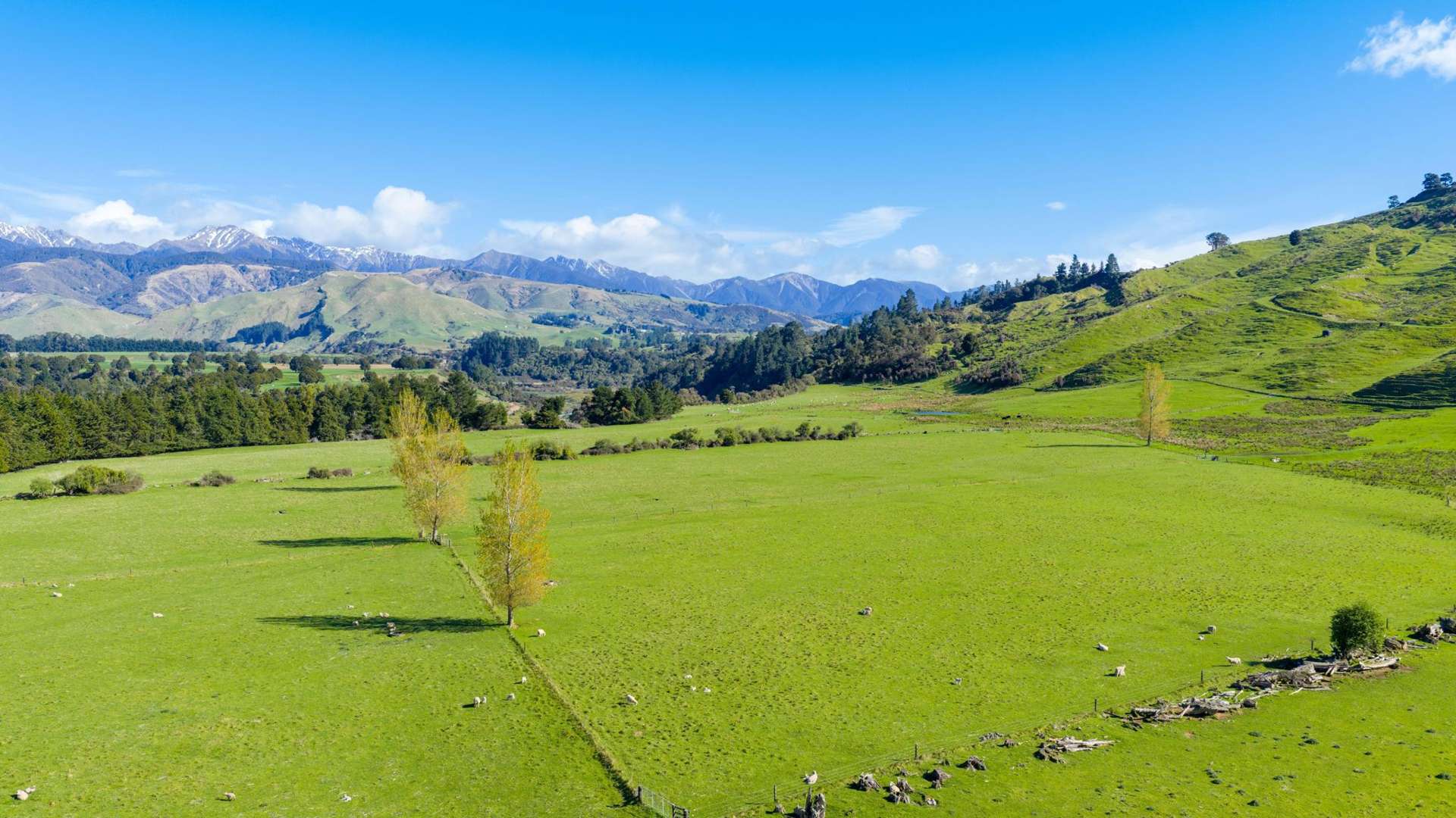 1139 Blackburn Road Ongaonga_0