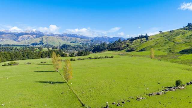 Highlands - 1139 Blackburn Road, Ongaonga