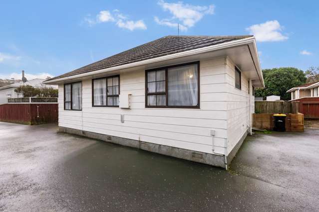 A Great Start in Central Johnsonville