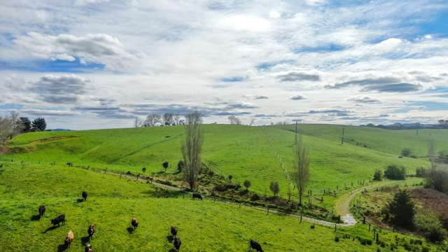 407 Island Block Road Te Kauwhata_3