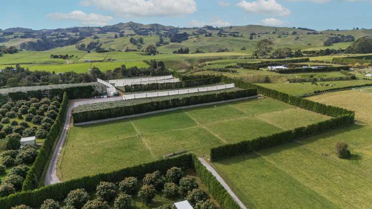 865B Oropi Road Oropi_11