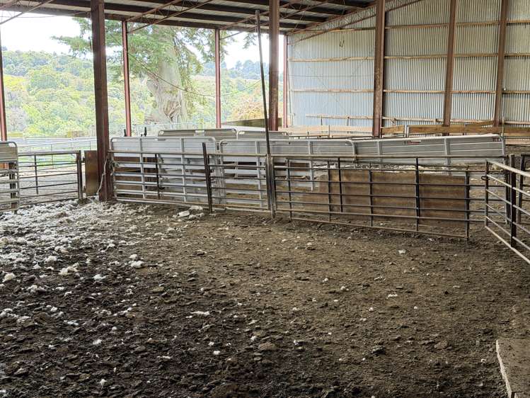 125 Sawmill Road Taieri Beach_15