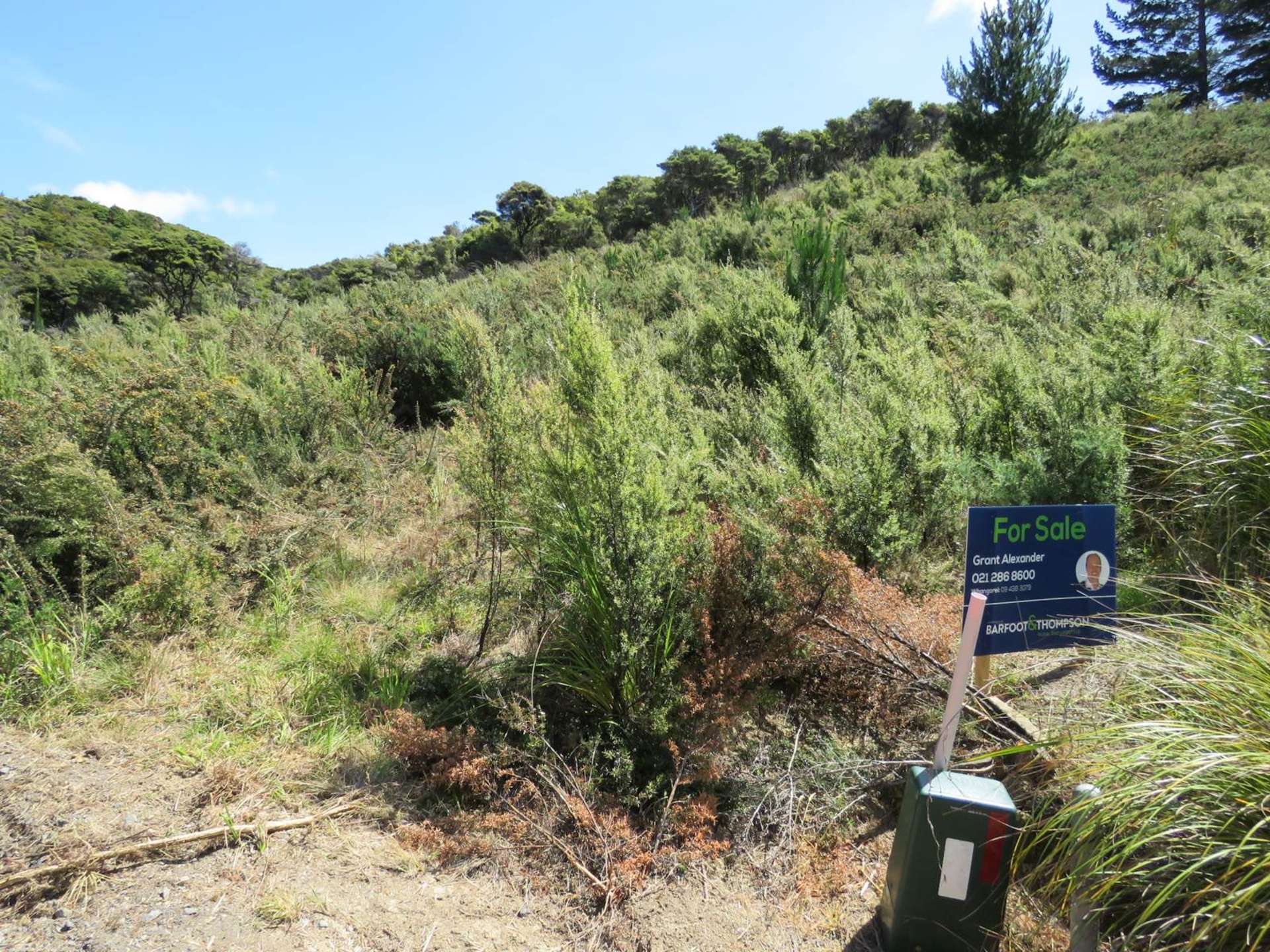 Lot 6 Whangaruru North Road Whangaruru_0