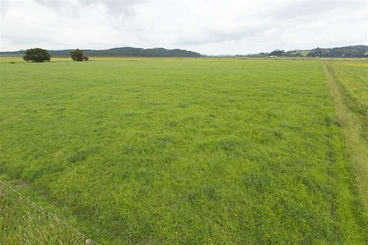 Green Road Parakai_7