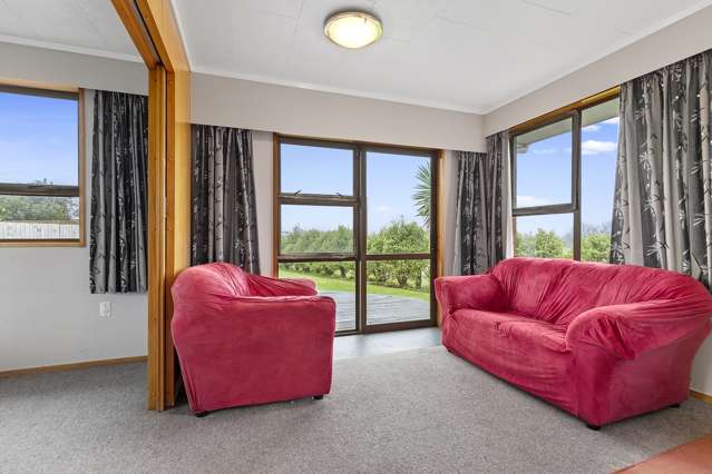 40 Hanna Street Te Aroha_4