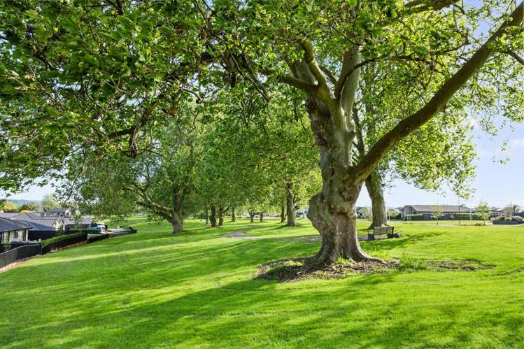 83 Fairway Drive Morrinsville_31