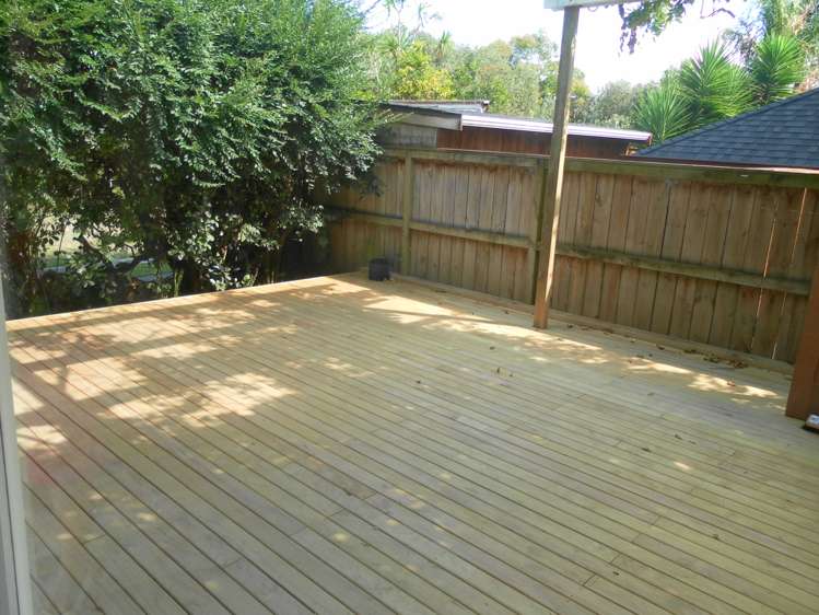 3a Rosedale Avenue Mount Eden_11