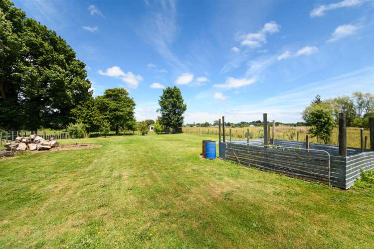 25 Flower Street Bulls_21