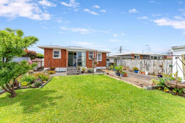 4 Rata Street Levin_13