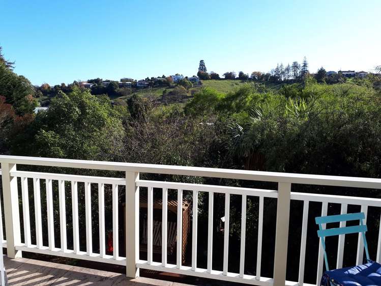 58 Arrow Street Washington Valley_11