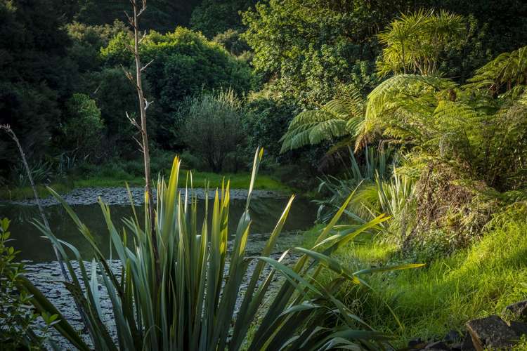 14 Ohuka Place Whitianga_8