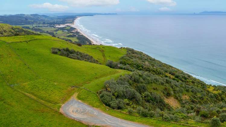 55 M Greenwood Road Leigh_9