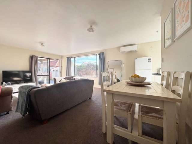 61a Centennial Avenue Riccarton_4