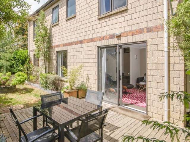 27a Mead Street Avondale_1