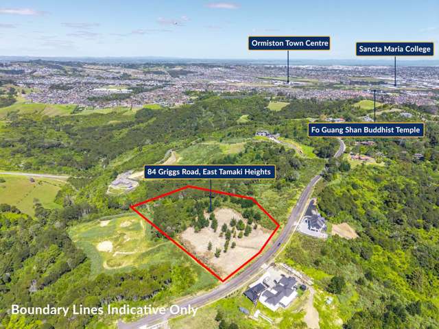 84 Griggs Road East Tamaki Heights_3