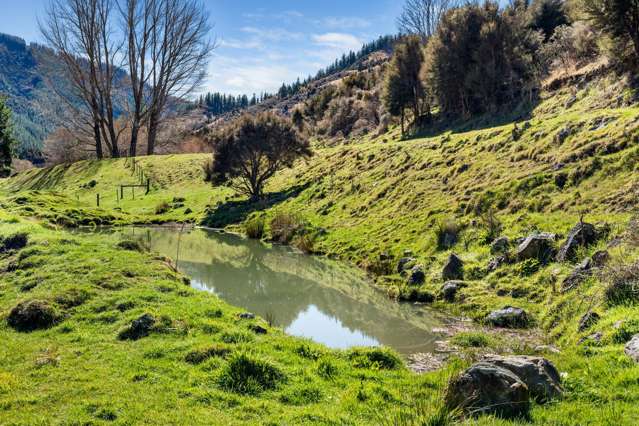 1367 Leatham Road Wairau Valley_3