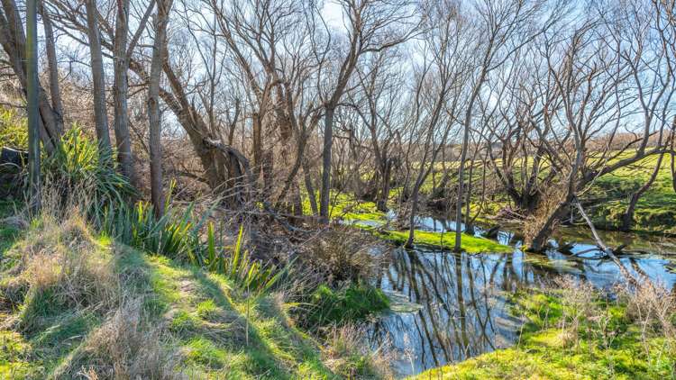 148 Omihi Road Waipara_37