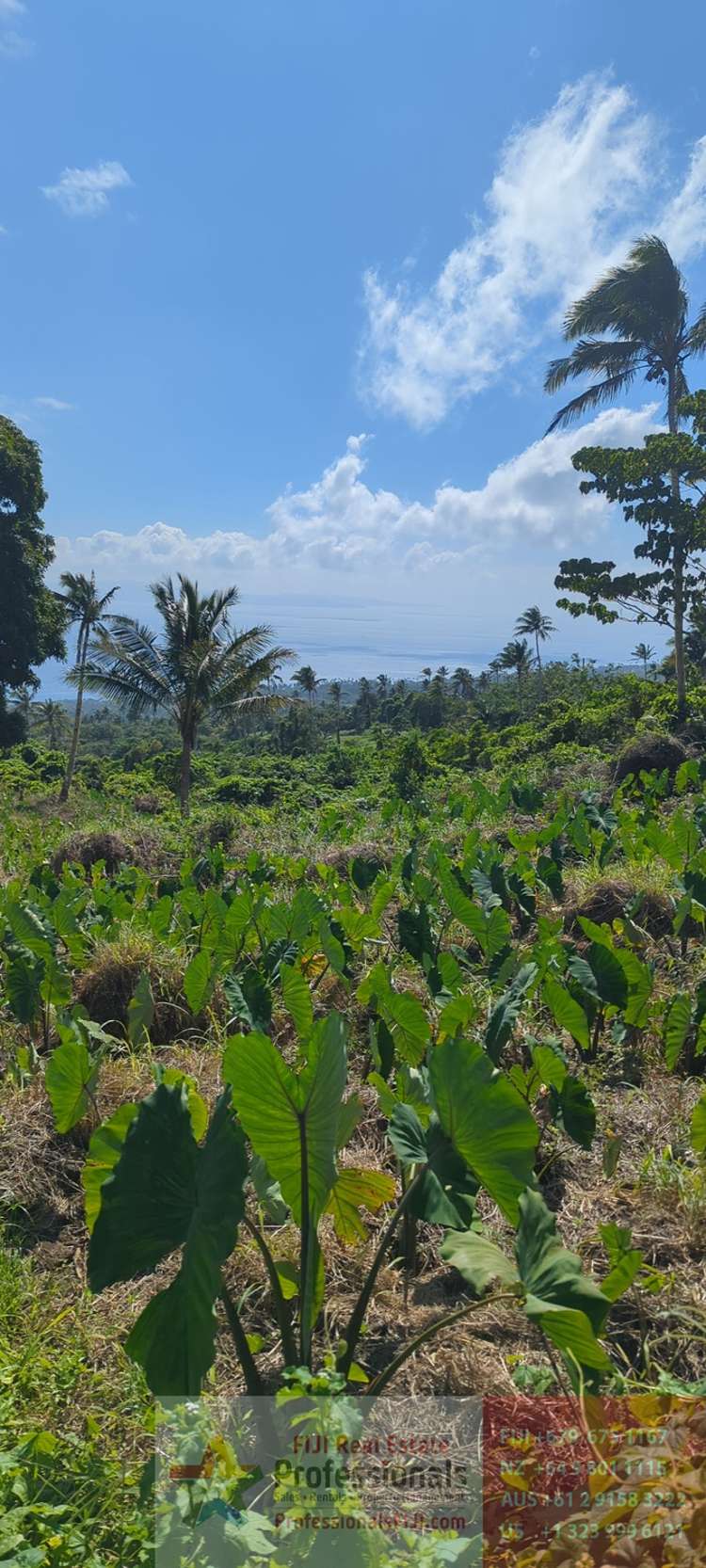 Address withheld Taveuni_13