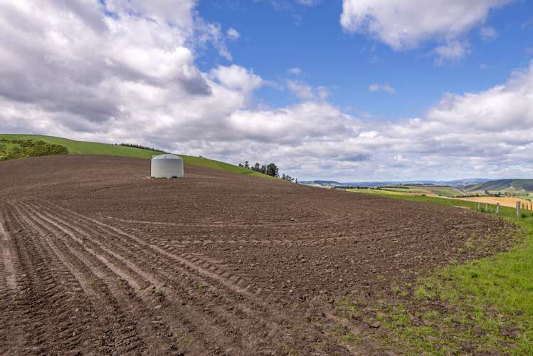 1537 Geraldine-Fairlie Highway Fairlie_9