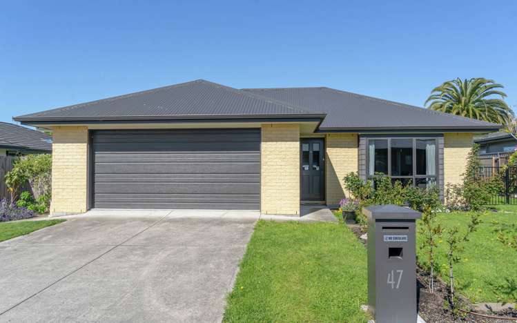 47 Daniell Street Newtown_1