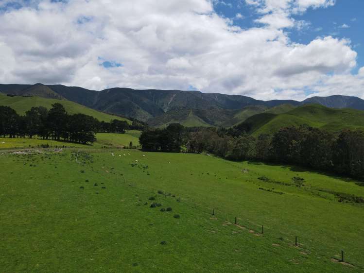 Lot Lot 1/9 Tamaki East Road Dannevirke_13