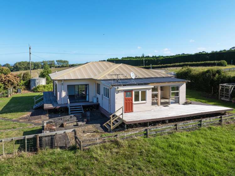 7 Punga Punga Road Pukekawa_9