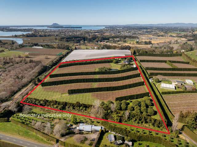 88B Pahoia Road Whakamarama_2