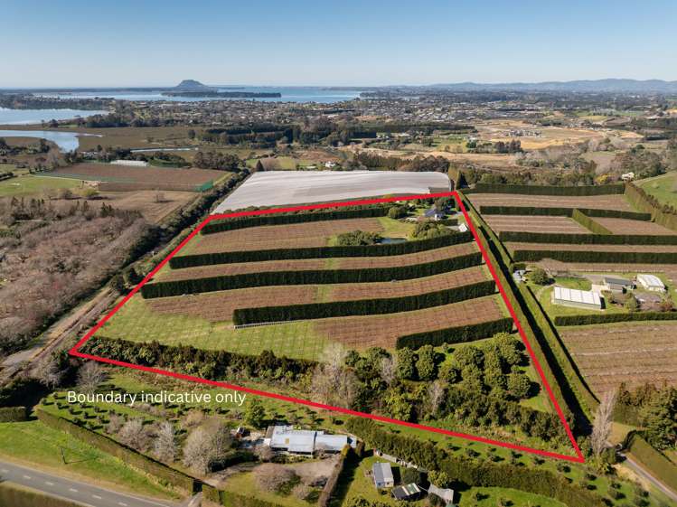 88B Pahoia Road Whakamarama_1