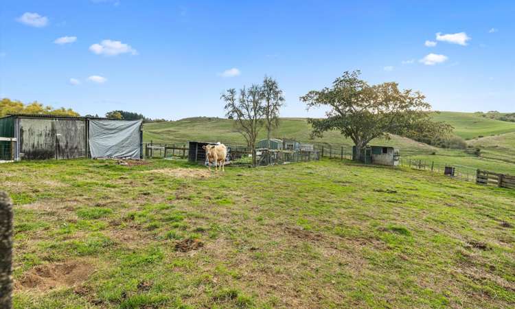 348 Te Kuiti Road Otorohanga_23